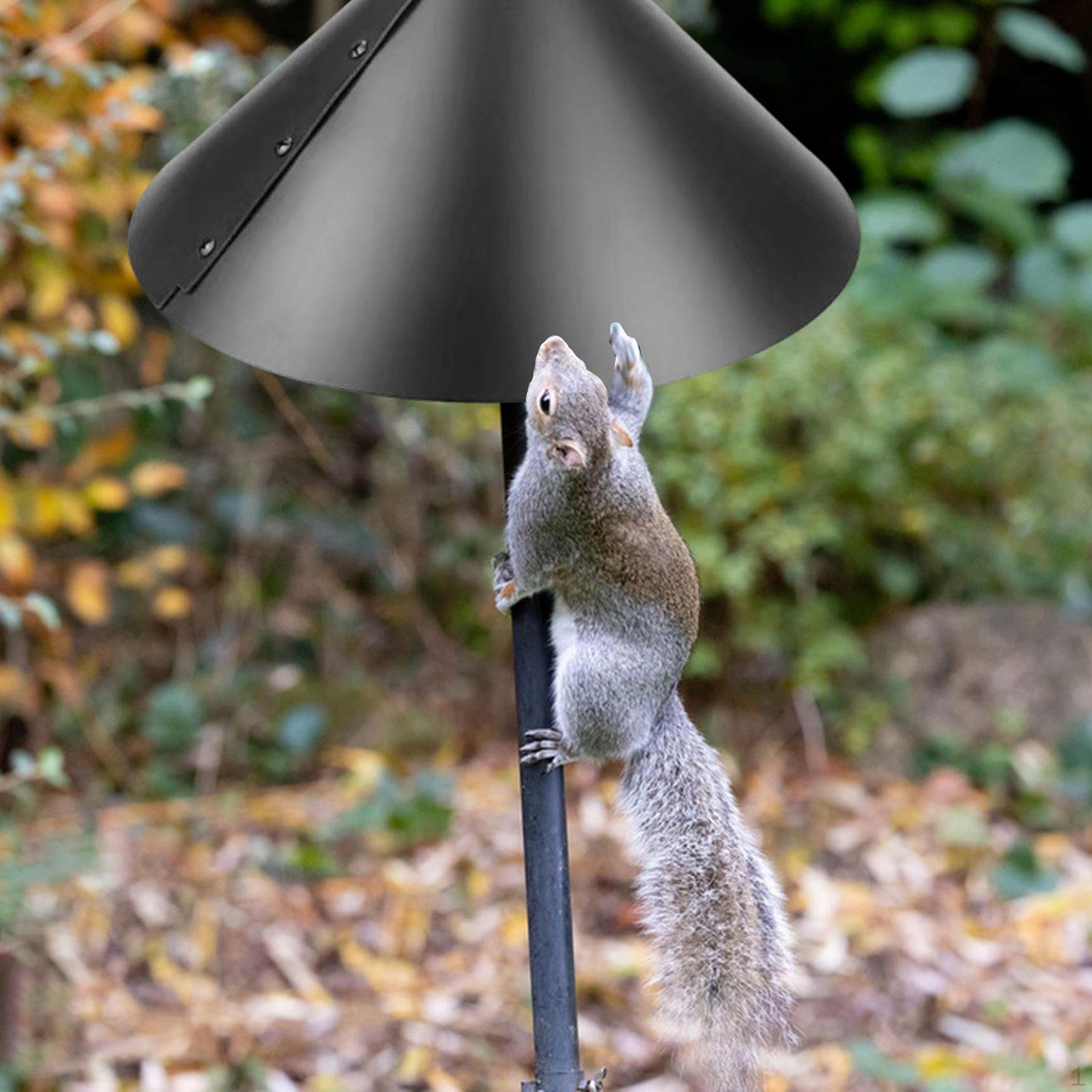 

Кормушка для птиц, отпугиватель белок со складным щитком для использования на открытом воздухе Diameter 16inch