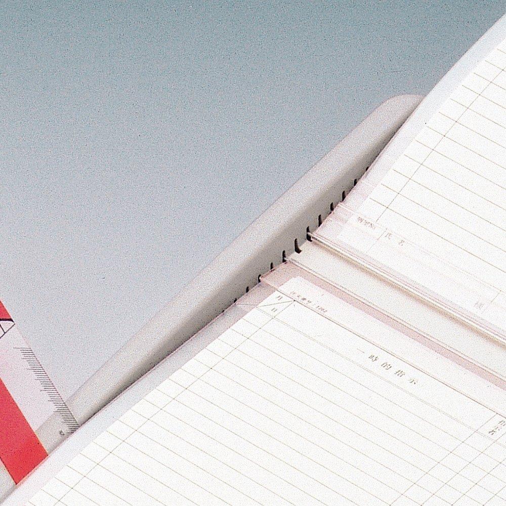 LIHIT LAB Color Card Index, A4, Pink, HC111C-4