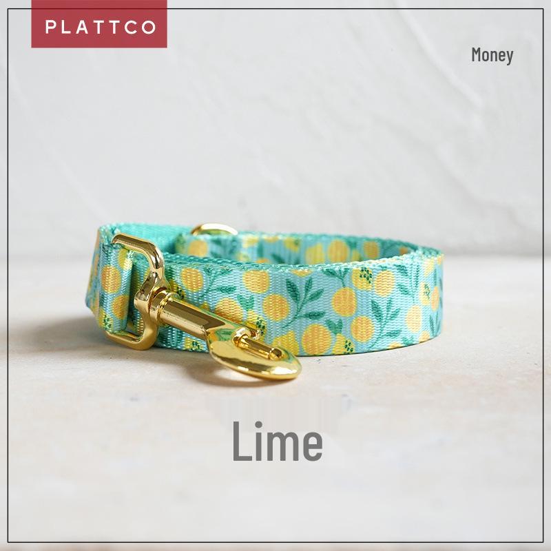 PLATTCO Blue Lemon Nylon Pet Collar & Leash - PDL329 L 2.5cm*(49-55cm)