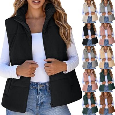 Women's Fashion Casual Zipper Sleeveless Solid Color Thickened Vest Jacket