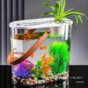 Acrylic Transparent Fish & Flower Arrangement Tank