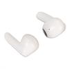 Language Translator Earbuds Multifunction HD Noise Reduction   5.3 144 Kinds Languages Real Time Translation Headphone