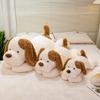 Large Dog Pillow Plush Toy Doll Teddy Dog Doll Children's Soothing Ragdoll Birthday Gift