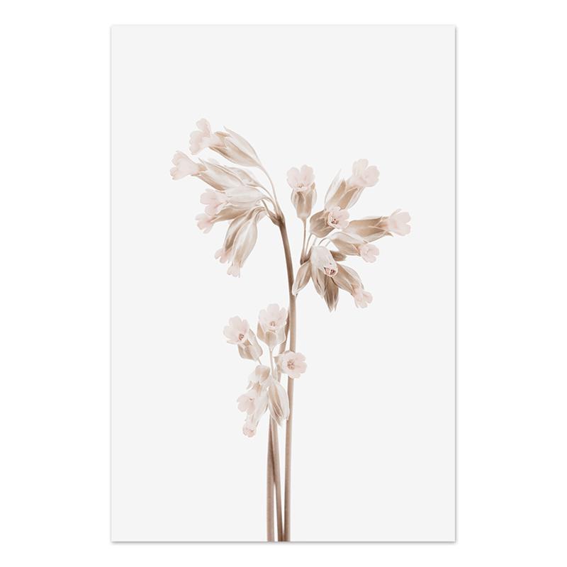 Pósteres y galerías de grabados de plantas y flores, murales de arte de pared, pinturas nórdicas en lienzo, imágenes para decoración del hogar y la sala de estar