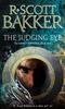 The Judging Eye by R. Scott Bakker Paperback Book 9781841495385