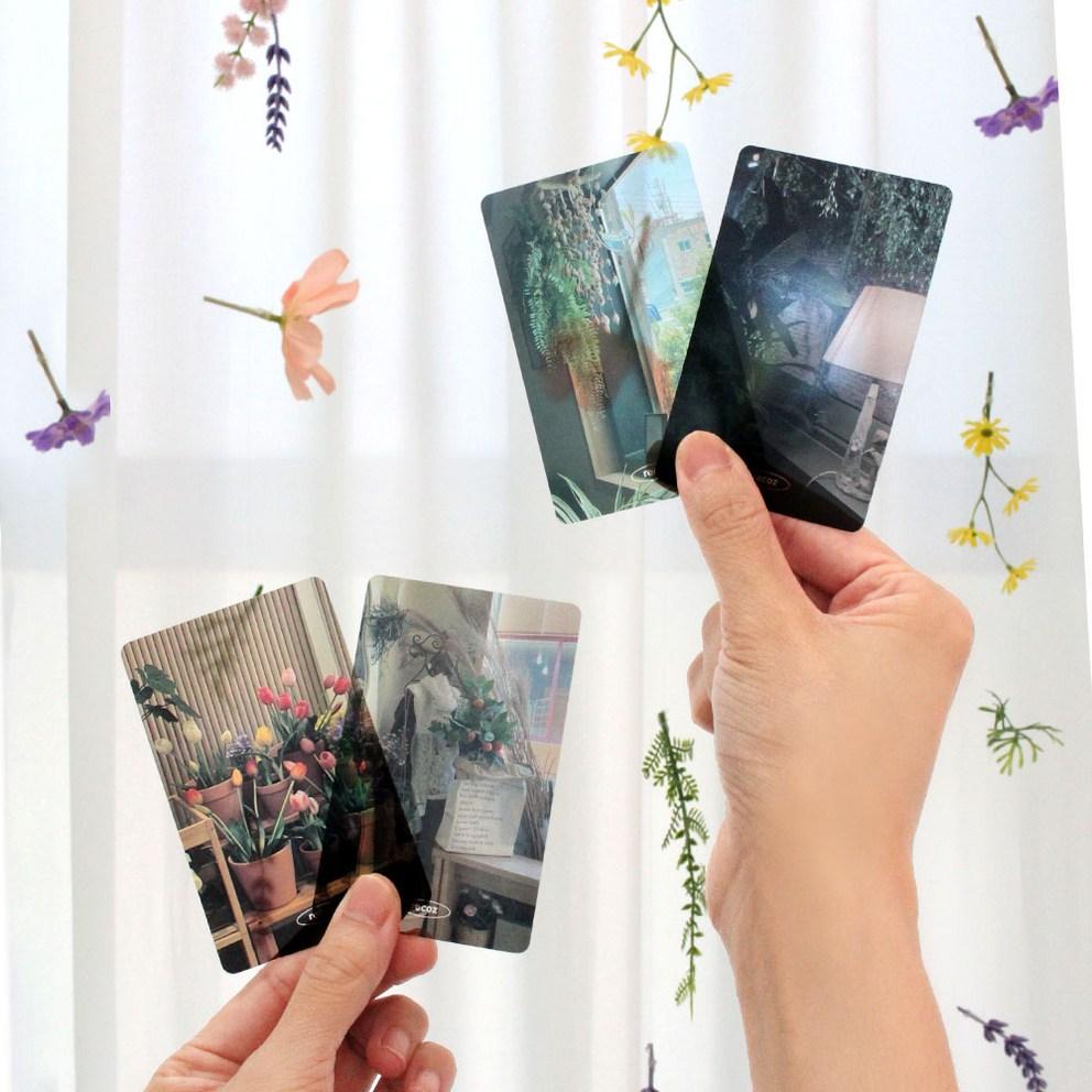 Ricos Translucent Photocard Bookmark 4-Piece Set, Plant, 1 Set