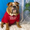 Colete Pet Estampa de Letras Roupa de Cachorro de Duas Pernas Colete de Gola Redonda para Verão