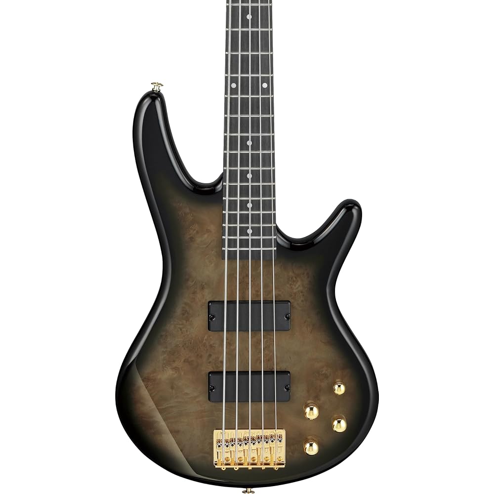 Ibanez GIO Series 5-String Electric Bass Transparent Pale Black Burst GSR205PC-TPB
