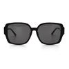 Sunglasses SES04DG 0700 58mm Women's Horn-rimmed Fashion Sunglasses