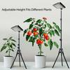 Grow Lights for Indoor Plants, Full Spectrum LED Plant Growing Lamp - Timer, Adjustable Brightness & Tripod Stand, LED Grow Lamp