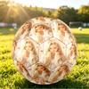 Sabrina Carpenter Size 5 Soccer Ball, Durable Standard Football For Training Match Outdoor Sports