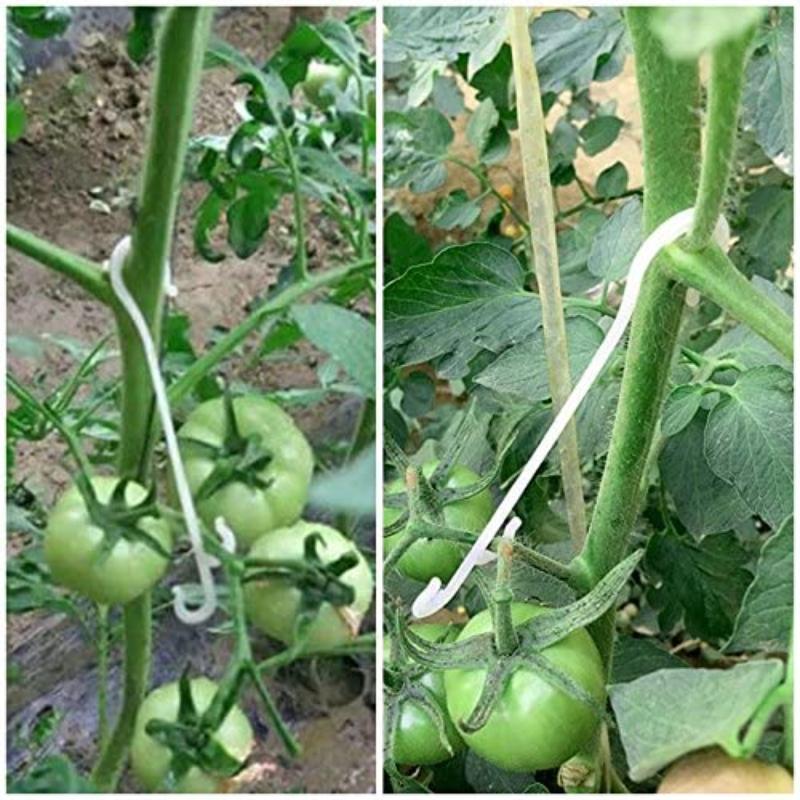 50pcs J Shaped Fruit Cherry Tomato Ear Hook Garden Vegetable Plant Grape Support Vines Fastener Clips Trellis Fixed Buckle Hook