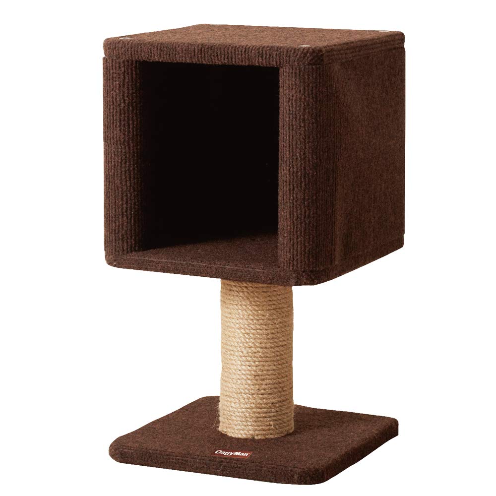

Catty Man Modern Room Компактный Нья Бокс