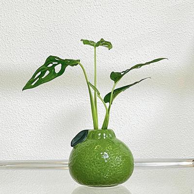 Decorazioni per la casa – Vasi