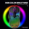 Ergonomic RGB Wired Lightweight Gaming Mouse with Hollow Design