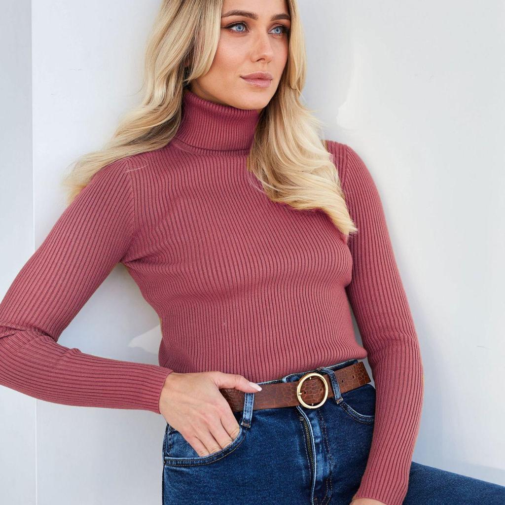 Fashion Women Sweaters Pullover Autumn Winter Turtleneck Sweater Female Solid Ofifce Lady Long Sleeve Sweaters Tops