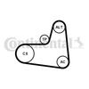 CONTITECH Kit Courroie D'accessoire 6PK995K1