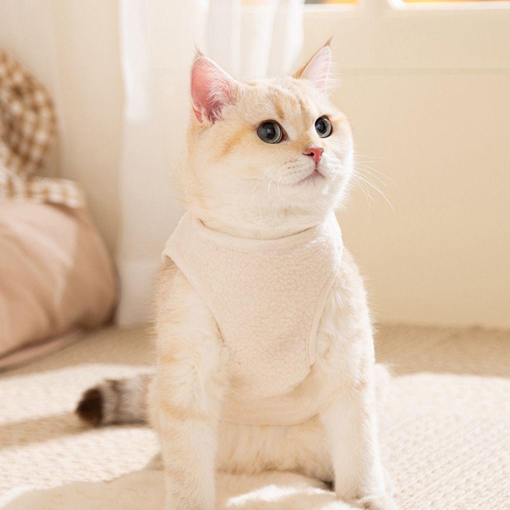 New Dog Clothes Cartoon Bear Thickened Pet Coat Windproof Keep Warm Puppy Clothes Vest For Small Medium Dog