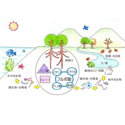 F?lvico Mouthwash, Made with 100% Natural Fulvic Acid from Japan, Disinfectant and Deodorizer, Humus Extract (Fulvic Acid) (200ml)