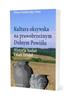 Literatura faktu – Historie a politika