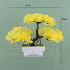 Plumosus Apargus Baker Plastic Faux Bonsai For Indoor Decoration Tabletop