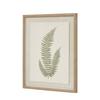 Hill Interiors Textured Fern Texture Torn Paper Framed Art Print