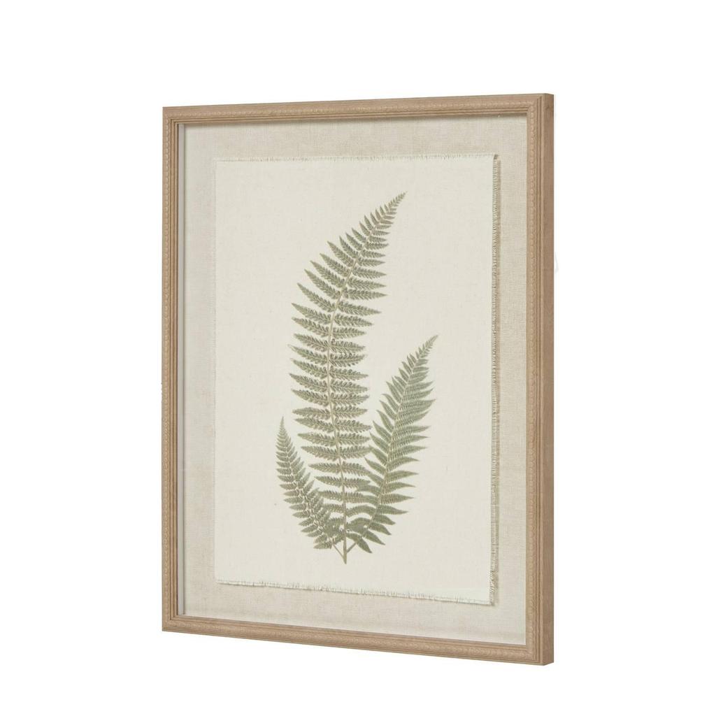 Hill Interiors Textured Fern Texture Torn Paper Framed Art Print