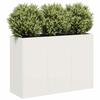 VidaXL Planter White 120x40x80 Cm Cold-rolled Steel, Flower Pot, Plant Stand, Raised Bed, Support of 860718