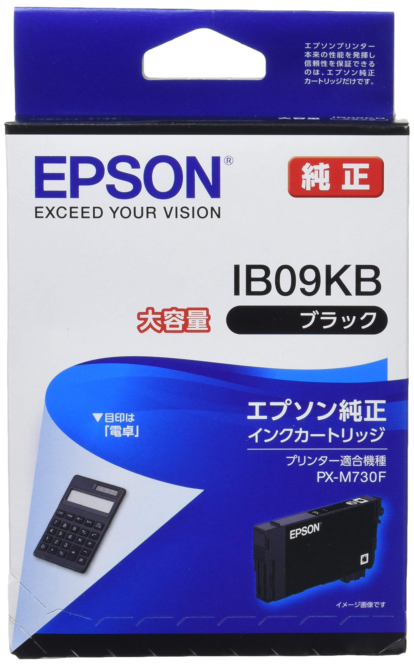 

Epson Genuine Ink Cartridge IB09KB Black Large Capacity Ink