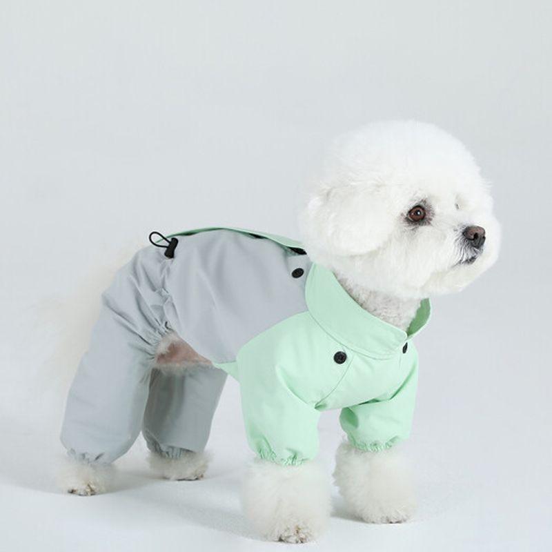 DR.BREEDS Windbreaker for Walking (also Raincoat) Bichon Frise_Pistachio