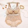 Sexy 3D Embroidered Lace Shell Cup Bra Set for Side Breast Enhancement and Smaller Busts