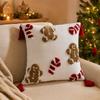 Christmas Throw Covers, Holiday Cushion Cases for Living Room Bedroom Sofa Couch Decor