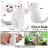 Oenux Drzewko dla kota Kociak Bobtail Syjamski Sfinks Ragdoll Model Figurka Akcji Figurka Urocza Dekoracja Zwierzę Dzieci Zabawka Prezent