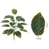 Artificial Green Plant Wall Decor With Uv Resistant Plastic For Outdoor Garden And Home Decoration