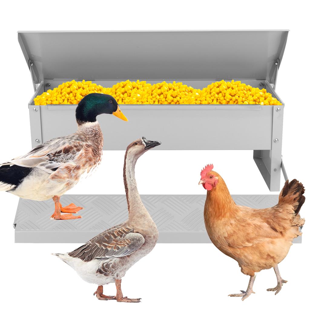 Automatic Chicken Feeder with Weatherproof Lid Treadle Chicken Feeder Metal Chicken Feeder for Chickens Ducks and Geese