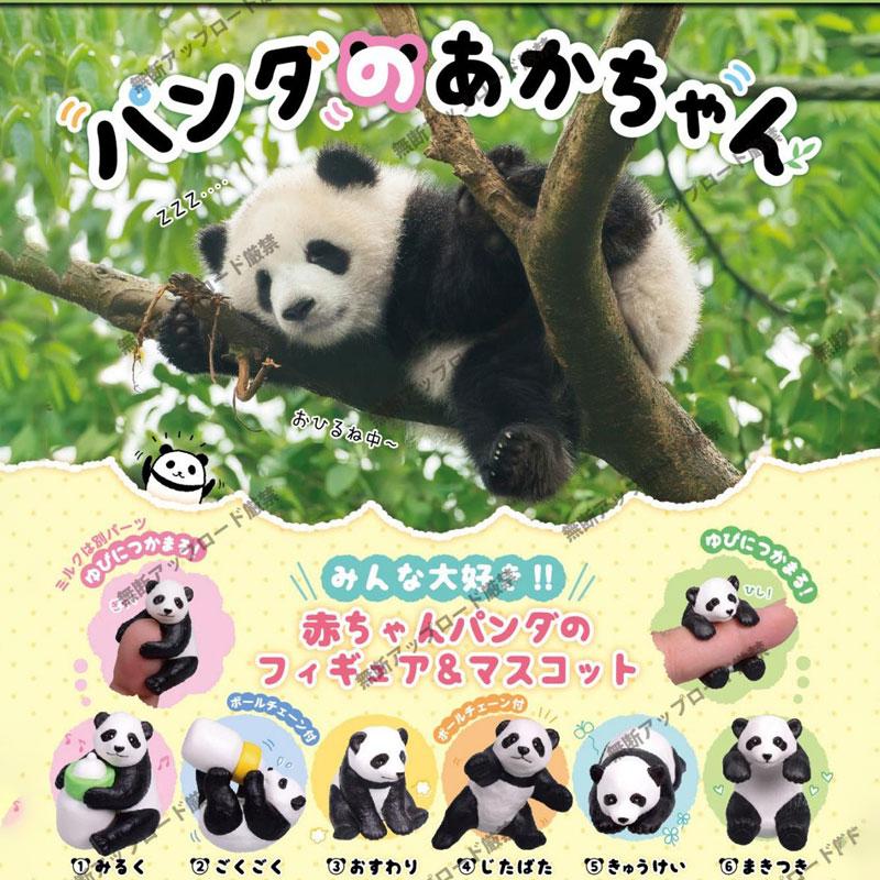 Gashapon Capsule Toy Giant Panda Feederes Riesenpanda Animals Ornaments Model Toy Gacha Collection Action Figure Model Toys