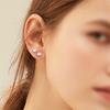 1 Paio di Orecchini a Perno Trago in Acciaio Inossidabile per Donne Uomini Zirconia Cubica Rotonda Dorso Piatto Chiusura a Vite Piercing all'Orecchio 2-8MM Gioielli