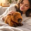 Cute Plush Toy Soft Stuffed Animal Cuddly Huggable Gift for Kids and Adults