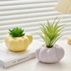 Artistic Cartoon Home Decor Ornaments Room Decoration Succulent Plant Pots Room Tabletop Planters Decorative Flower Pots Crafts