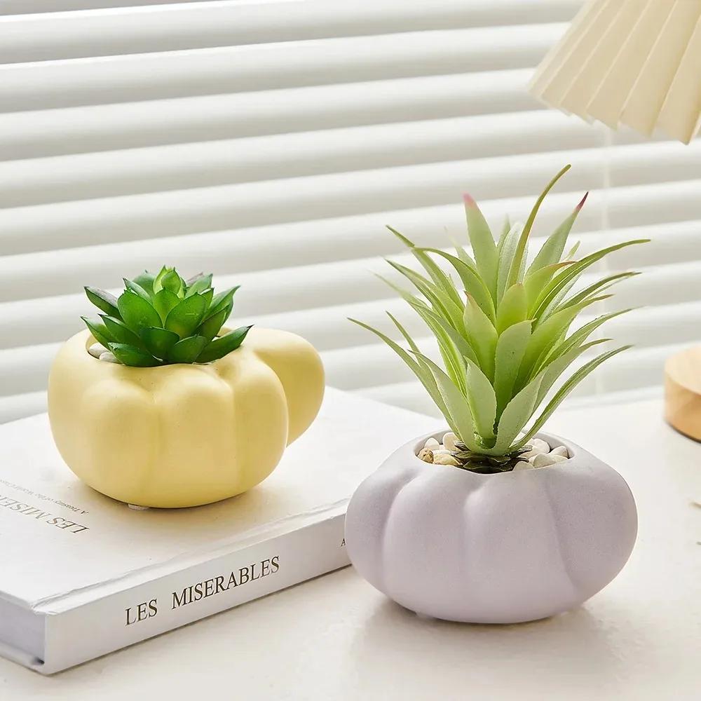 Artistic Cartoon Home Decor Ornaments Room Decoration Succulent Plant Pots Room Tabletop Planters Decorative Flower Pots Crafts