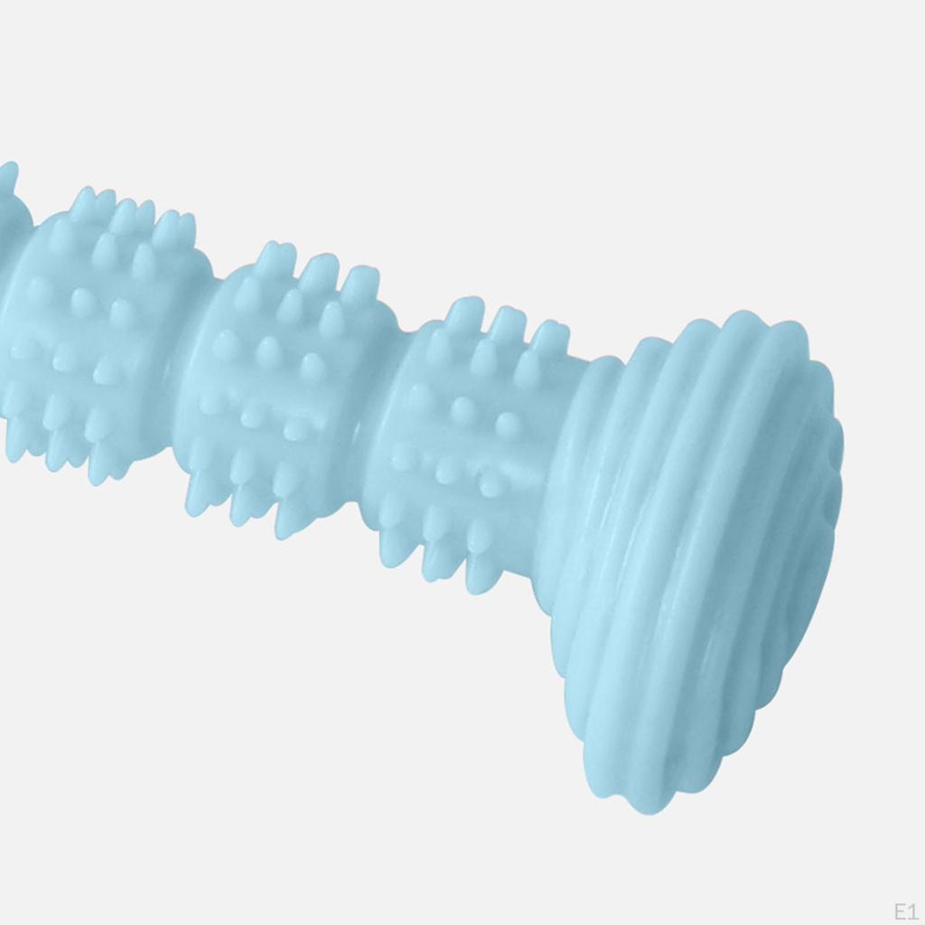 , Interactive Toys, Aggressive Puppy Chews, Molars, Pet Accessories