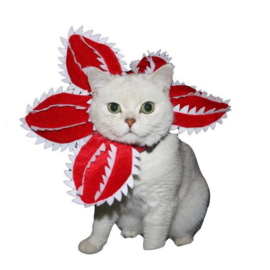 Kapelusz dla psa Demogorgon Design Kwiatu Mięsożernego Kostium dla Zwierząt Domowych Postrzępione Płatki Regulowany Śmieszny Kapelusz dla Zwierząt Domowych dla Małych Psów Kotów Cosplay Party Rekwizyty do Zdjęć