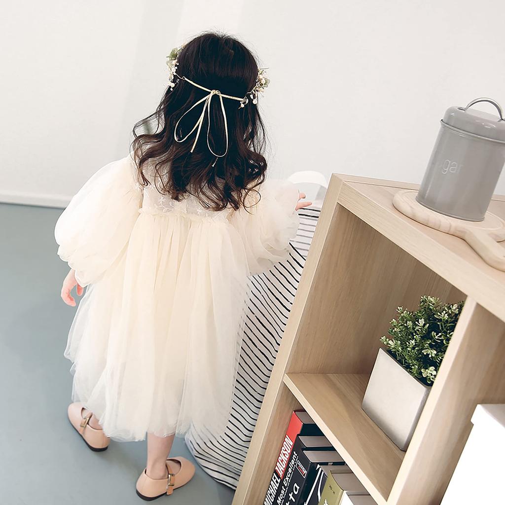 Tulle Lace Dress Balloon Sleeve Baby Dress Wedding Birthday Kids Dress Halloween Costume Present Princess Fabric Embroidery Flower White Ribbon
