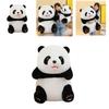 Cute Panda Plush Toy New Arrival Perfect Gift For Girls Soft And Cuddly 25cm Height