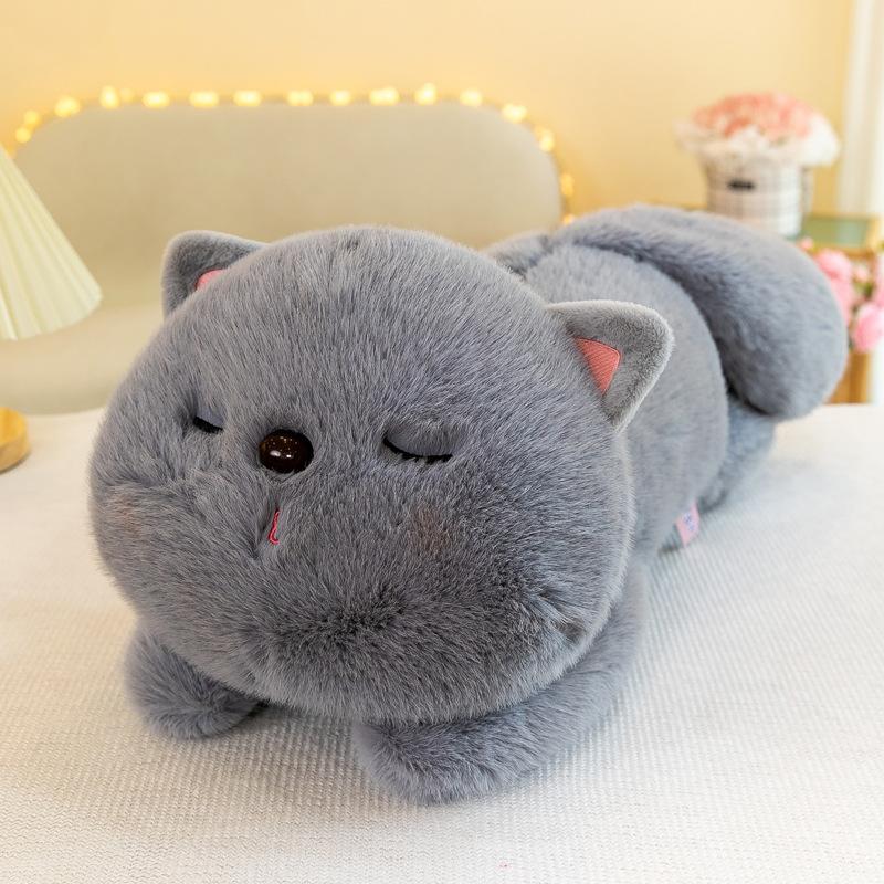

Милые прищуривающиеся котята Туантуан, плюшевые игрушки, офисная подушка, подушка для сна, детская подушка для сна, украшения для дивана 30cm【0.18kg】
