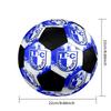 FC Magdeburg Indoor Soccer Ball Colorful Machine Stitched PVC Size 5 Team Training Competition Ready Durable High-Bounce Cool Sports Gift