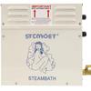 4.5KW Commercial & Home Steam Sauna Machine with Quality Assurance