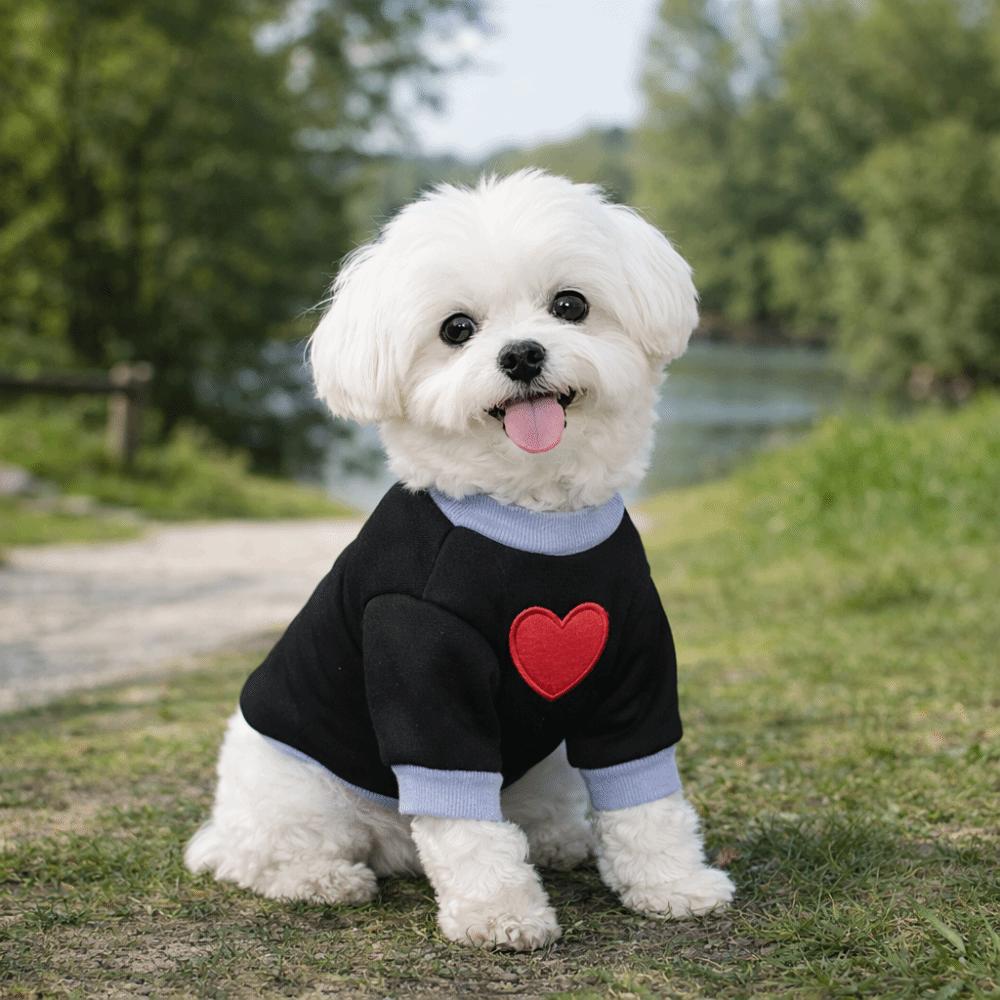 Warmer Katzenpullover Verdickte Hundezweibeinerkleidung Haustierwärmer Oberteile Hundeliebe Hoodie Outdoor-Gehen