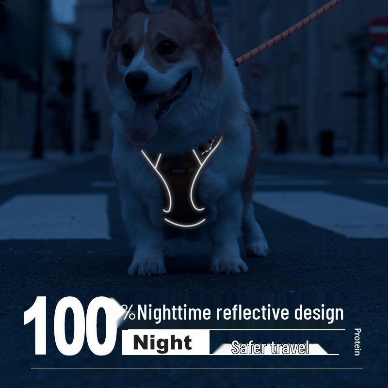 Corgi Dog Harness and Leash Set - Small To Medium Dog Vest Style