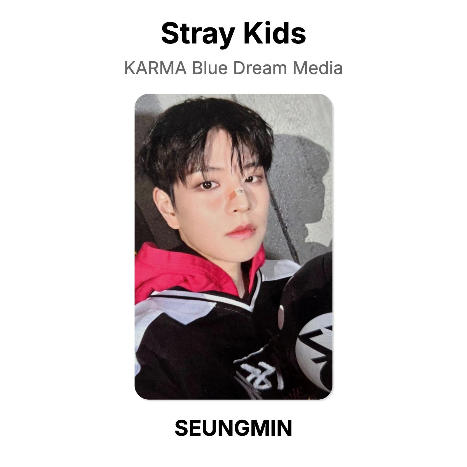 Stray Kids KARMA Blue Dream Media Официальная фотокарточка SEUNGMIN